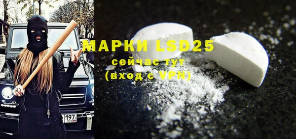 прущие грибы Лагань