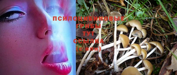 прущие грибы Лагань