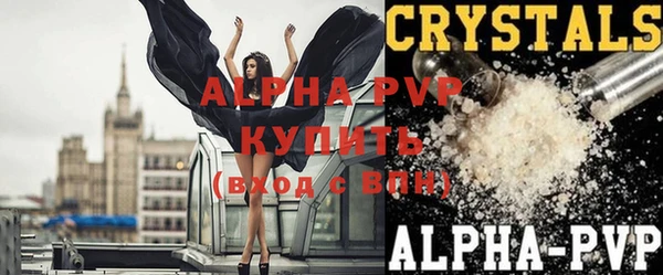 прущие грибы Лагань