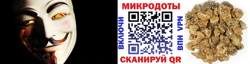 Псилоцибиновые грибы Psilocybe  дарк нет клад  Октябрьск  цена наркотик 